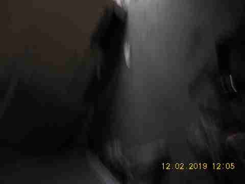 3319 Pingree 2nd trip (26)_m.jpg